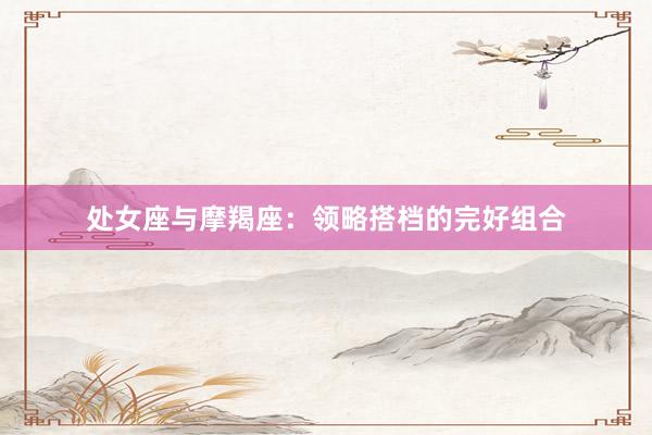 处女座与摩羯座：领略搭档的完好组合